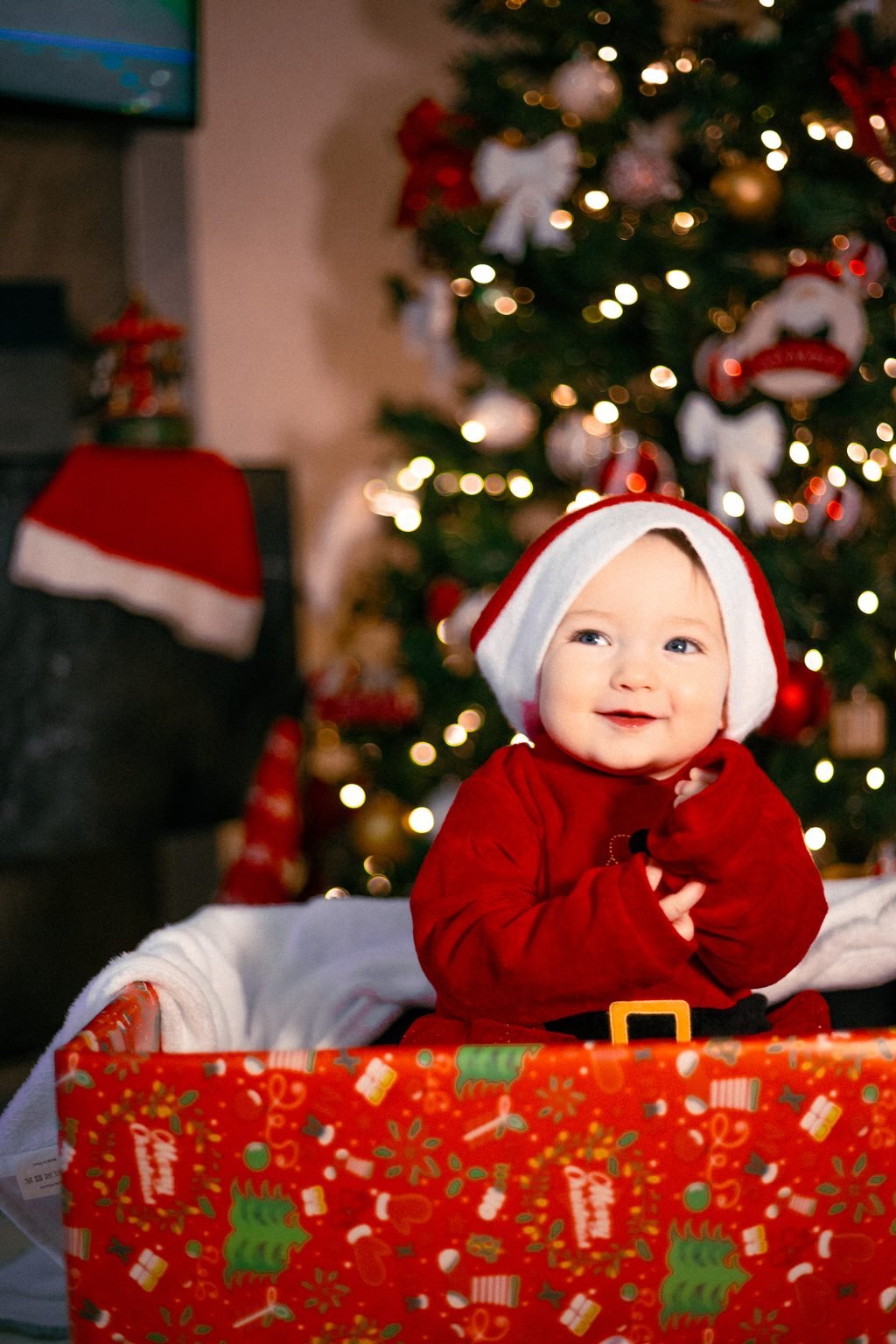 Un piccolo col cappello di Babbo Natale, seduto dentro un pacco regalo davanti all’albero illuminato, sorride