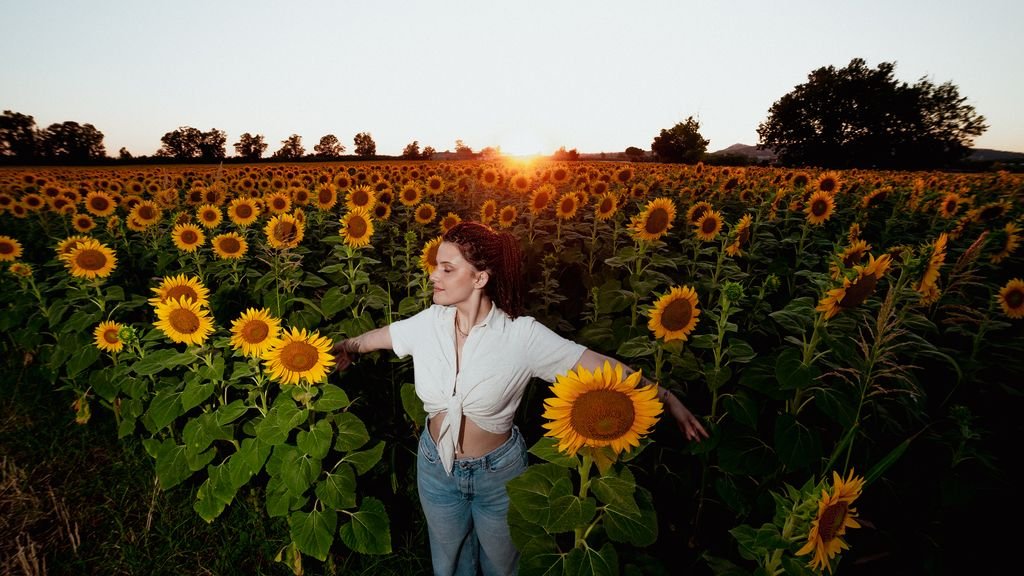 Nemi a braccia aperte in mezzo al campo di girasoli, con il sole che tramonta dietro gli alberi