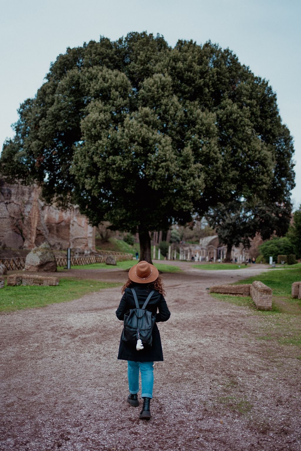 Nemi di spalle cammina sul sentiero verso un grande albero dalla chioma tonda