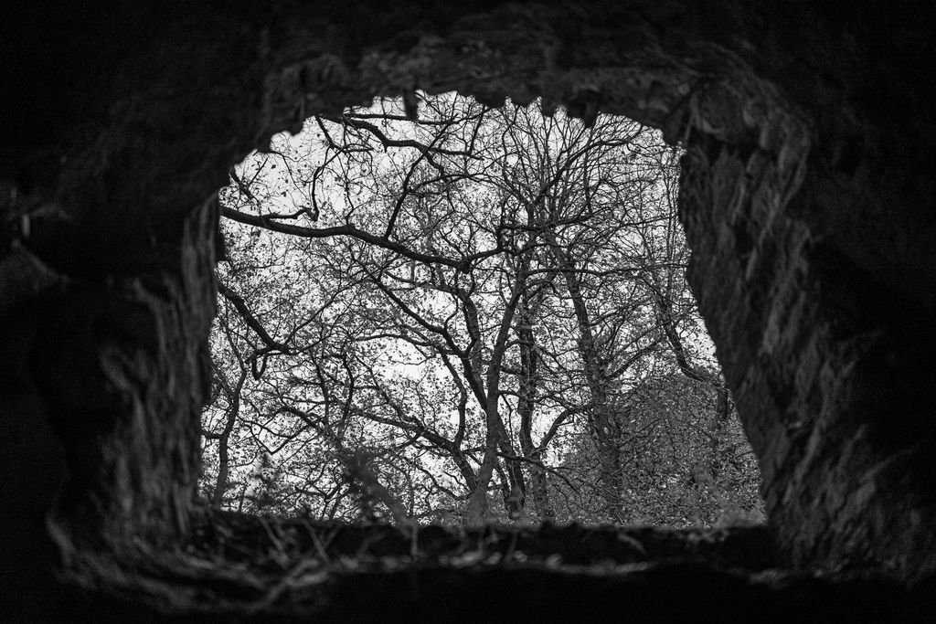 Un’apertura nel muro antico, in bianco e nero, che inquadra i rami spogli degli alberi